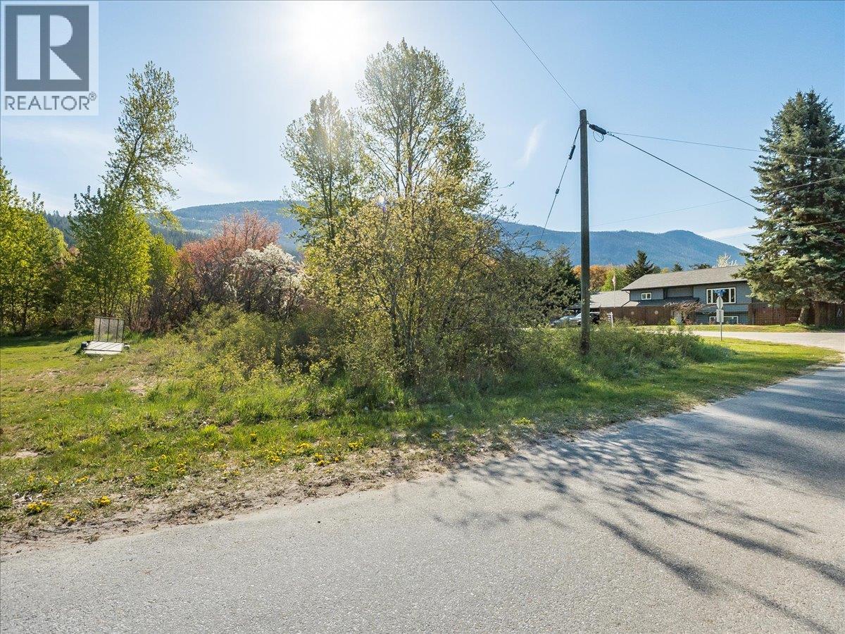 Main Street Lot# A, Slocan, British Columbia V0G 2C0 - Photo 22 - 10387383