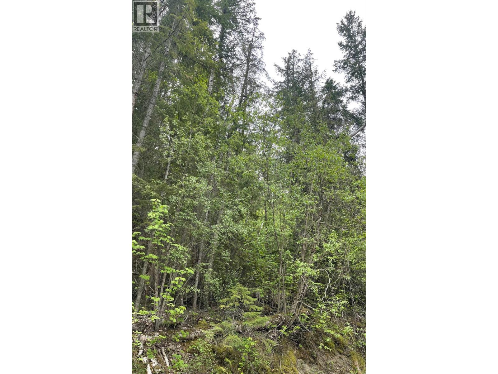 Greaves Road Lot# 24, Eagle Bay, British Columbia V0E 1T0 - Photo 2 - 10387035