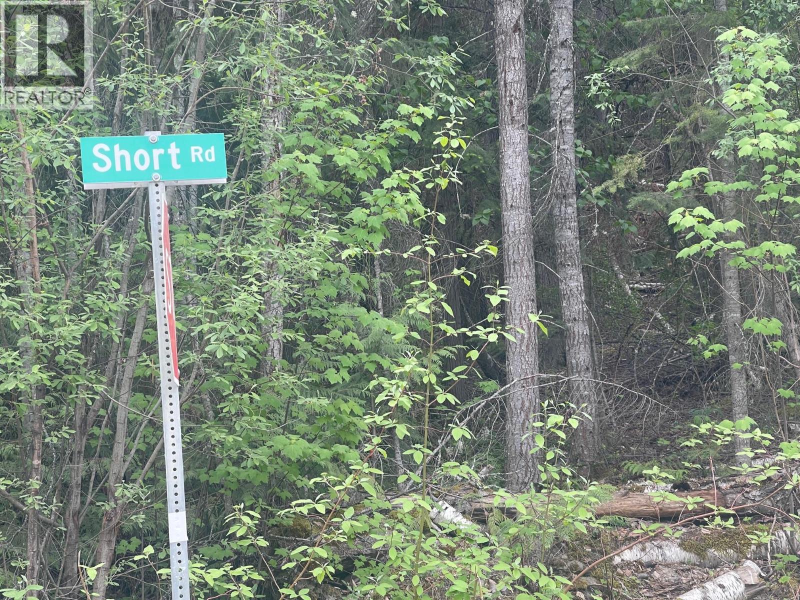 Greaves Road Lot# 24, Eagle Bay, British Columbia V0E 1T0 - Photo 3 - 10387035