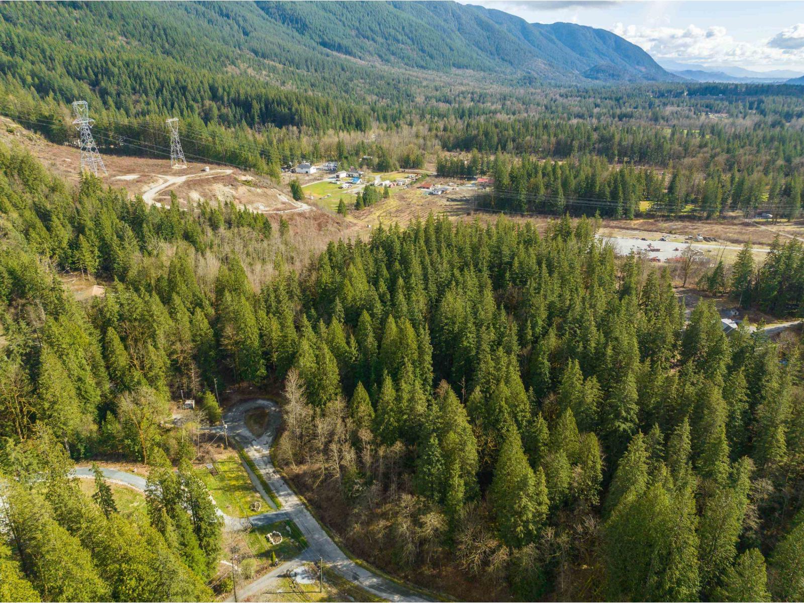 36161 Ridgeview Road, Mission, British Columbia  V2V 0B9 - Photo 8 - R3078933