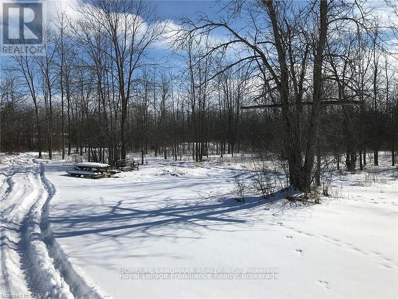 537 Burr Road, Prince Edward County, Ontario  K0K 1A0 - Photo 4 - X12719102