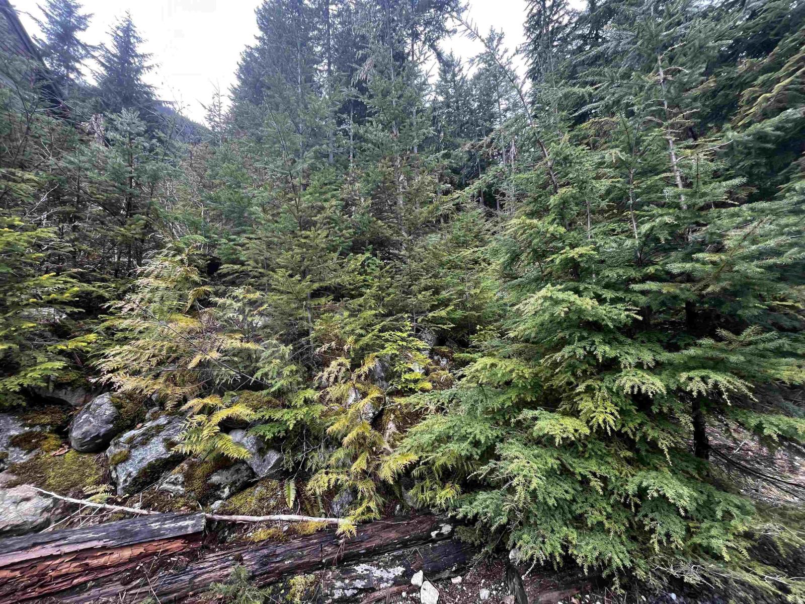 14953 Parkwood Street, Sunshine Valley, Sunshine Valley, British Columbia  V0X 1L5 - Photo 2 - R3123344