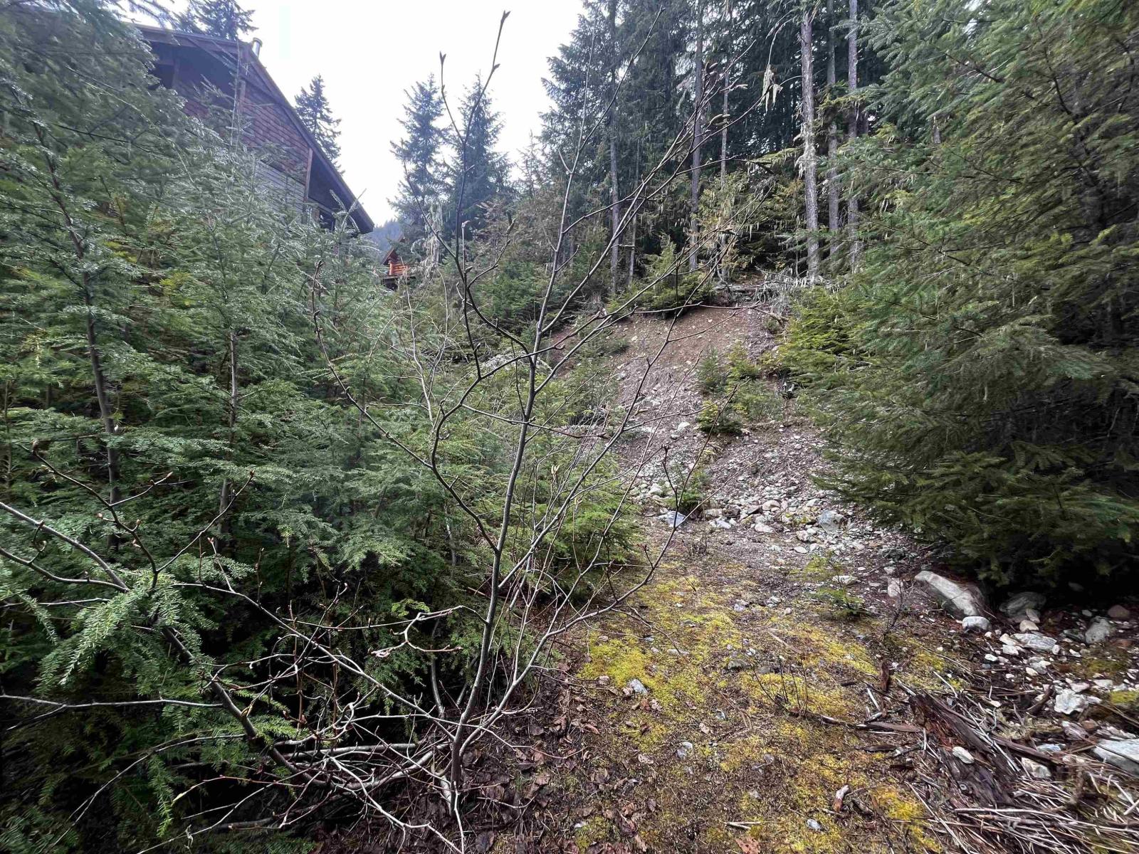 14953 Parkwood Street, Sunshine Valley, Sunshine Valley, British Columbia  V0X 1L5 - Photo 5 - R3123344
