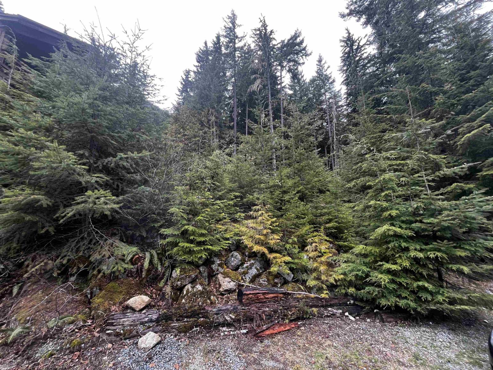 14953 Parkwood Street, Sunshine Valley, Sunshine Valley, British Columbia  V0X 1L5 - Photo 4 - R3123344