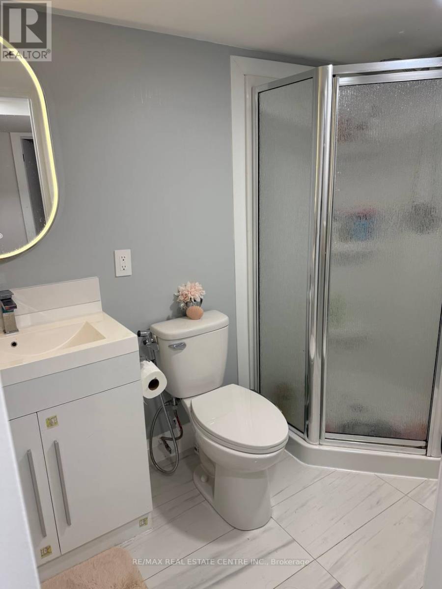 Lower - 171 Manitou Way, Hamilton, Ontario  L9G 1X9 - Photo 13 - X13125282