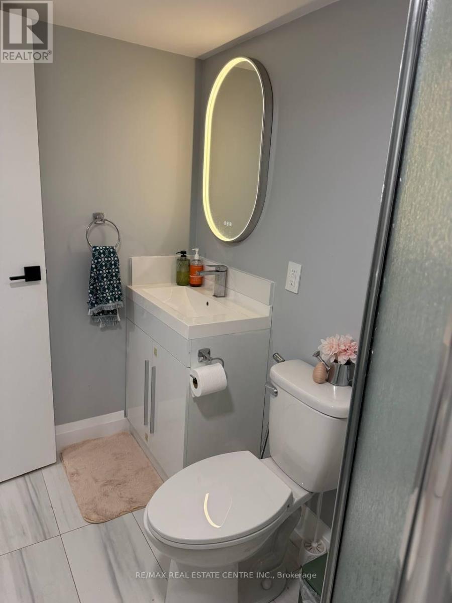 Lower - 171 Manitou Way, Hamilton, Ontario  L9G 1X9 - Photo 14 - X13125282