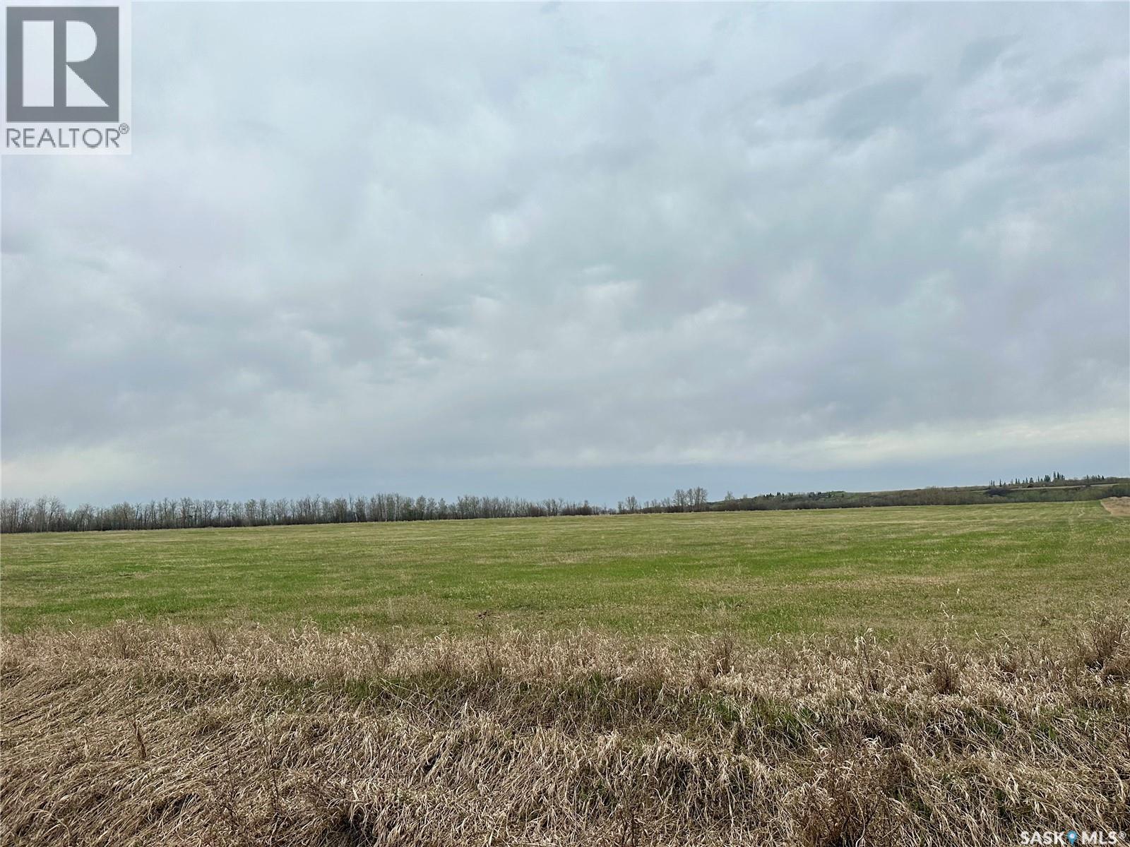 Jackfish Lakefront 40+ Acres, Meota Rm No.468, Saskatchewan  S0M 1X0 - Photo 3 - SK035212