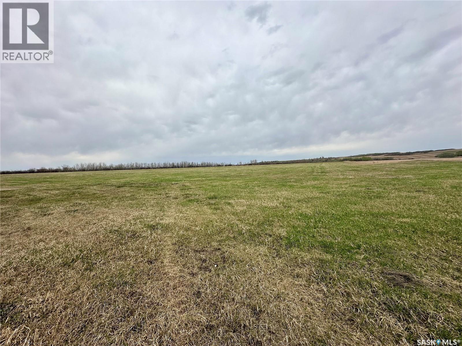 Jackfish Lakefront 40+ Acres, Meota Rm No.468, Saskatchewan  S0M 1X0 - Photo 5 - SK035212