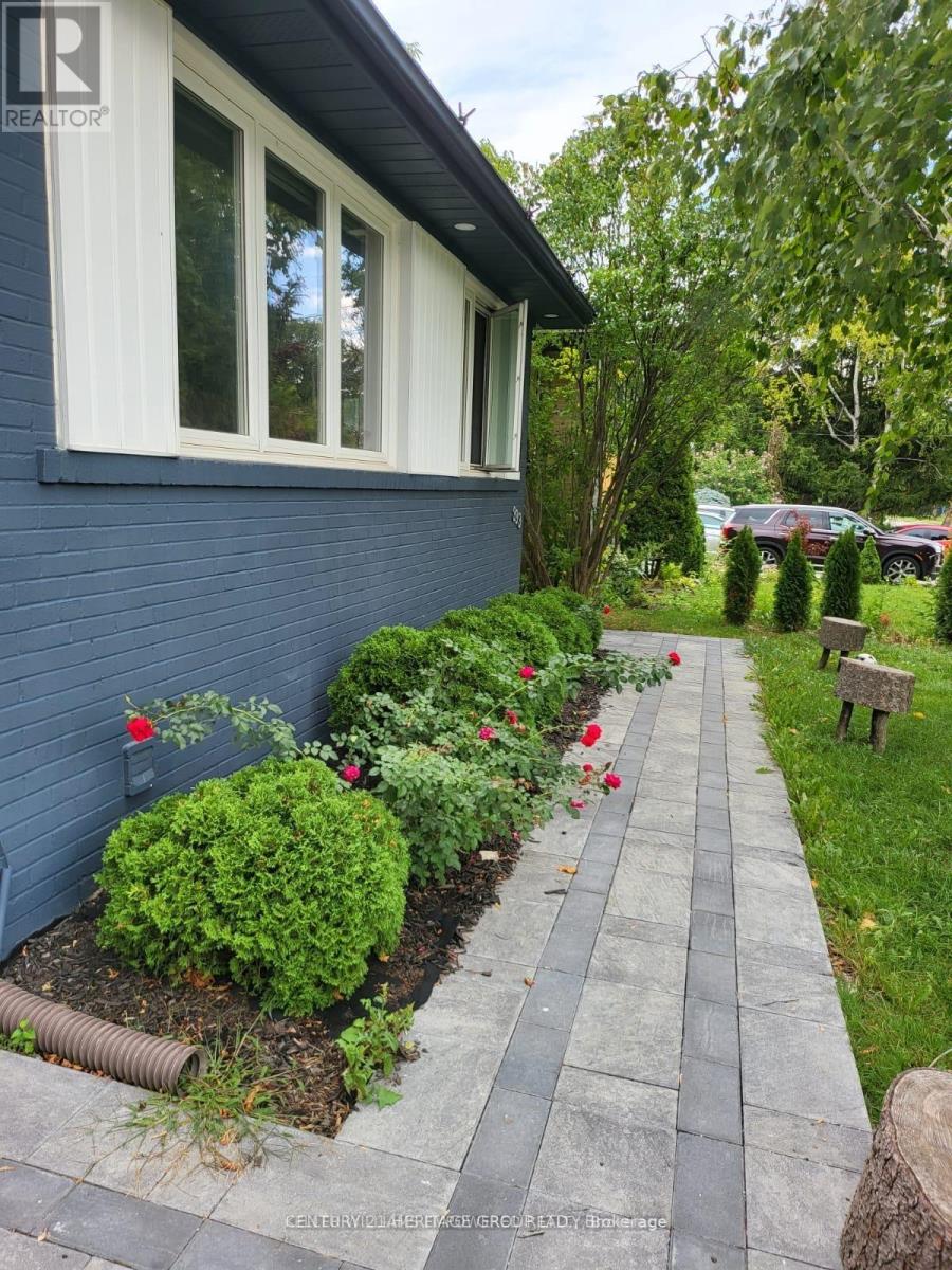 333 Paliser Crescent S, Richmond Hill, Ontario  L4C 1R9 - Photo 23 - N13125468