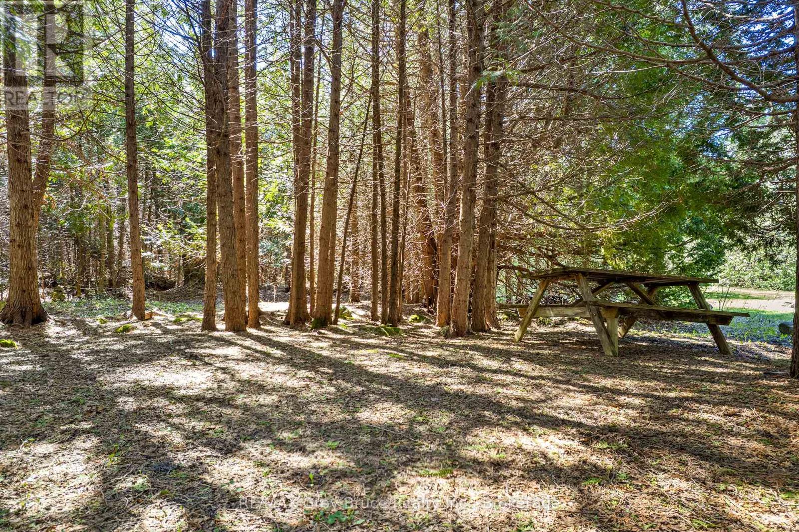 678 West Road, Northern Bruce Peninsula, Ontario  N0H 1W0 - Photo 36 - X13125546