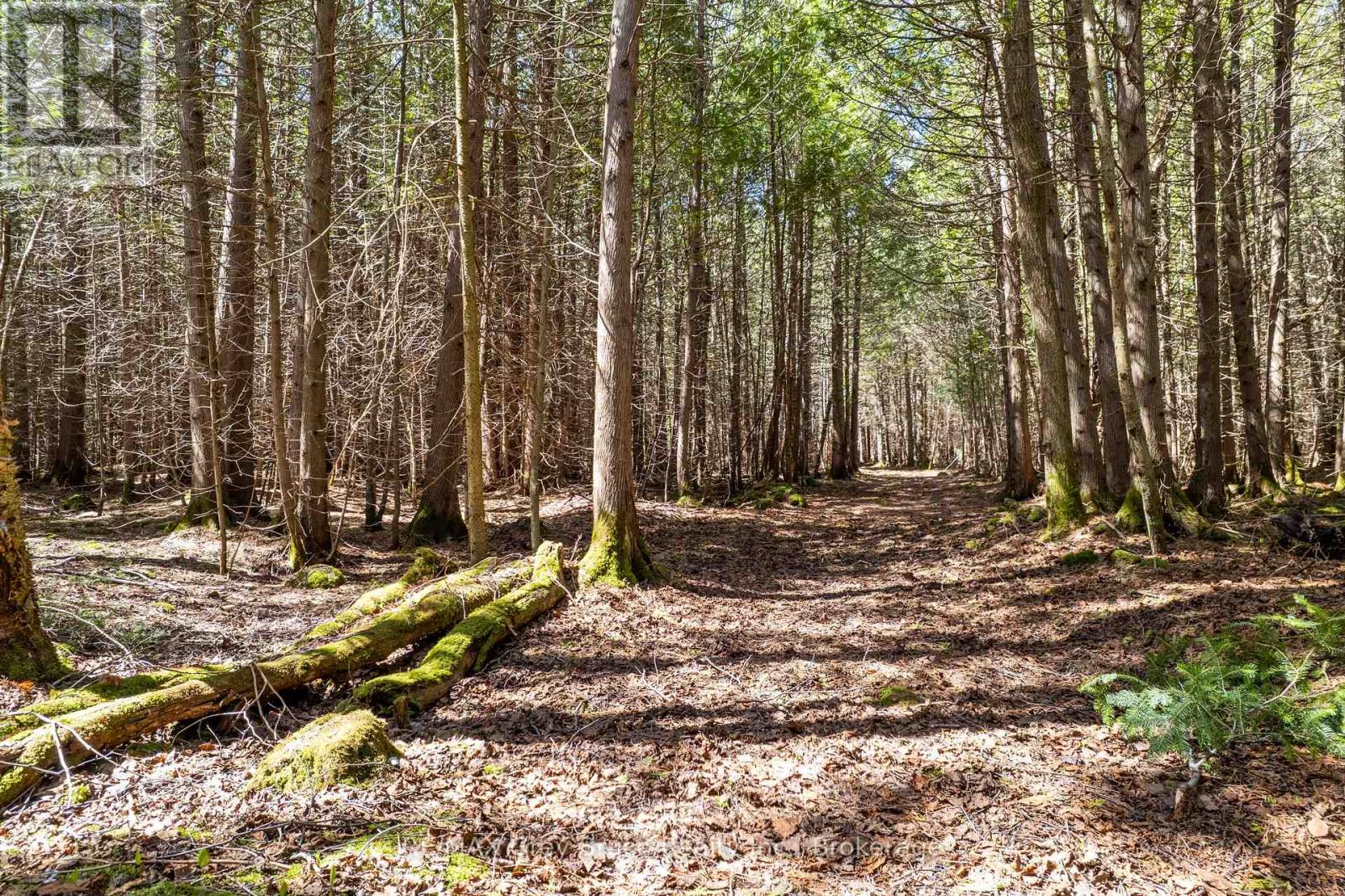 678 West Road, Northern Bruce Peninsula, Ontario  N0H 1W0 - Photo 39 - X13125546