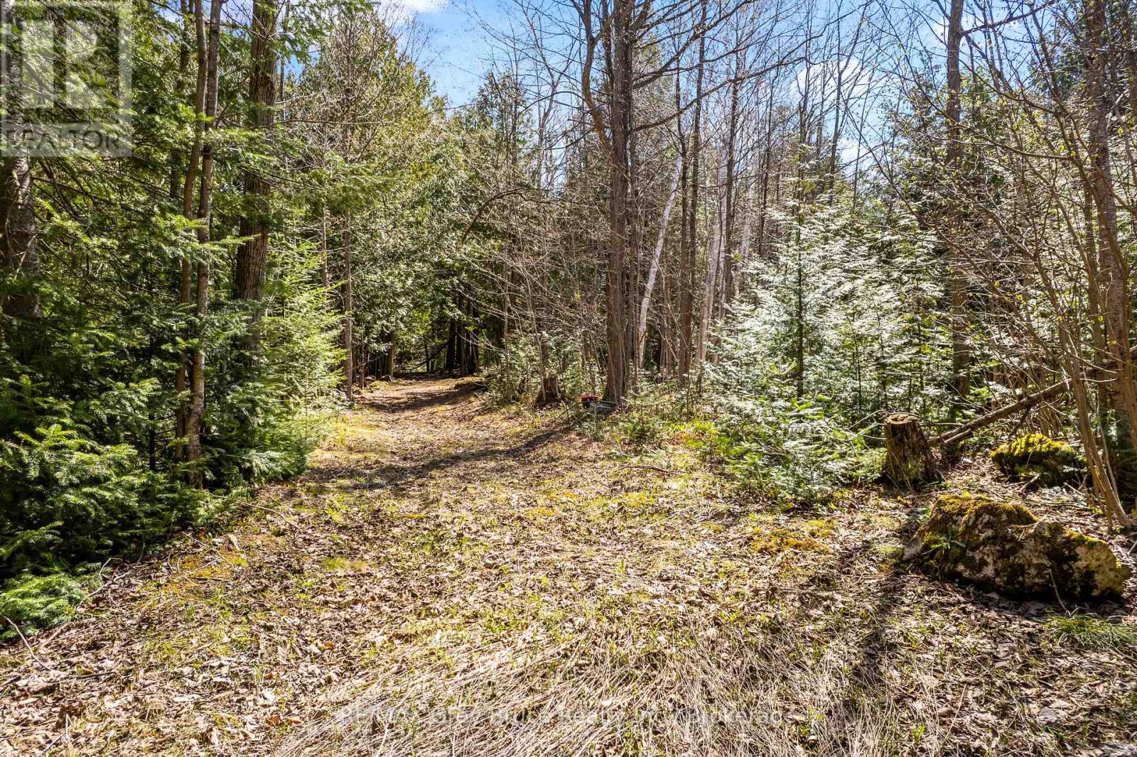 678 West Road, Northern Bruce Peninsula, Ontario  N0H 1W0 - Photo 42 - X13125546