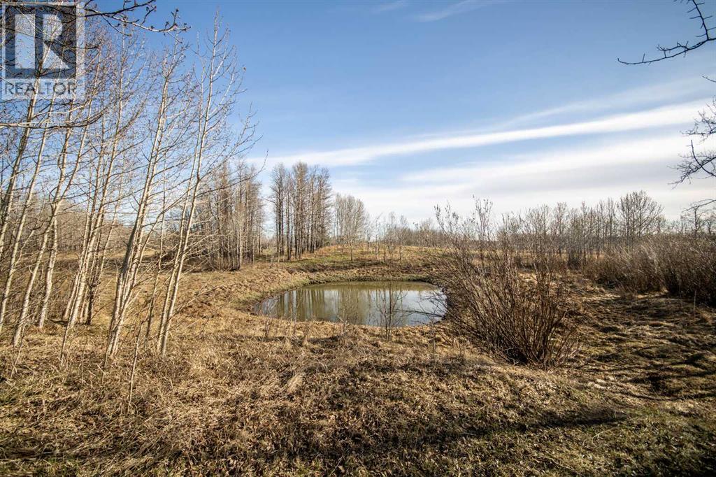 20165 Township Road 292 Road, Rural Rocky View County, Alberta  T0M 0S0 - Photo 27 - A2298276