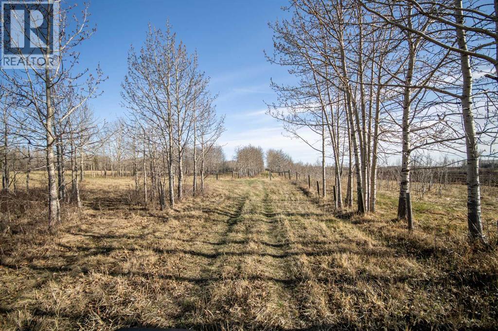 20165 Township Road 292 Road, Rural Rocky View County, Alberta  T0M 0S0 - Photo 28 - A2298276
