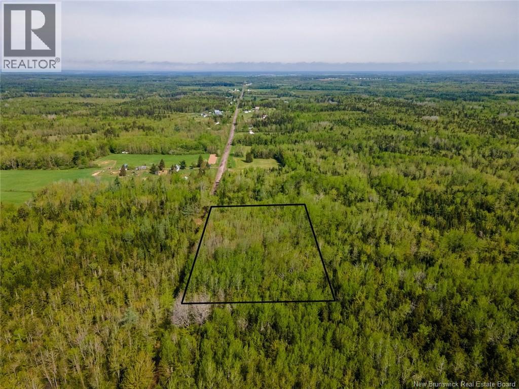Lot 21-06 Haut Saint-Antoine Road, Saint-Antoine, New Brunswick  E4V 3B3 - Photo 4 - NB134221