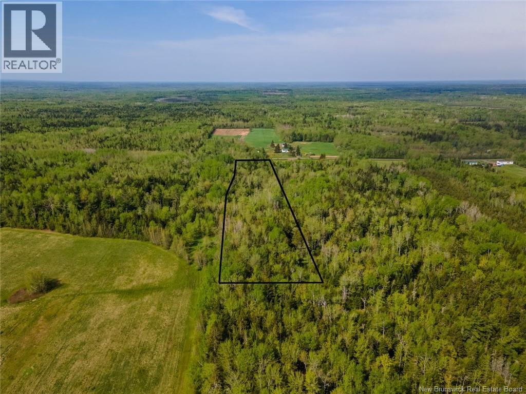 Lot 21-05 Haut St Antoine Road, Haut-Saint-Antoine, New Brunswick  E4V 3B3 - Photo 3 - NB134222