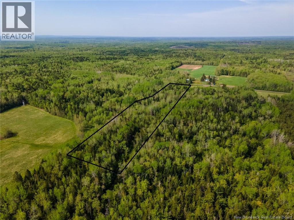 Lot 21-05 Haut St Antoine Road, Haut-Saint-Antoine, New Brunswick  E4V 3B3 - Photo 4 - NB134222