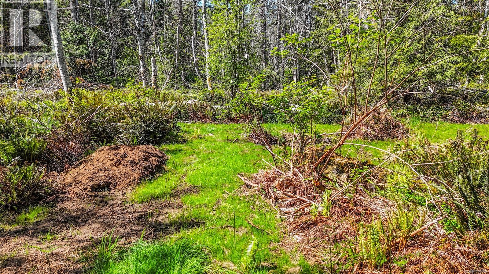 3250 Gunpowder Trail, Hornby Island, British Columbia  V0R 1Z0 - Photo 59 - 1036089