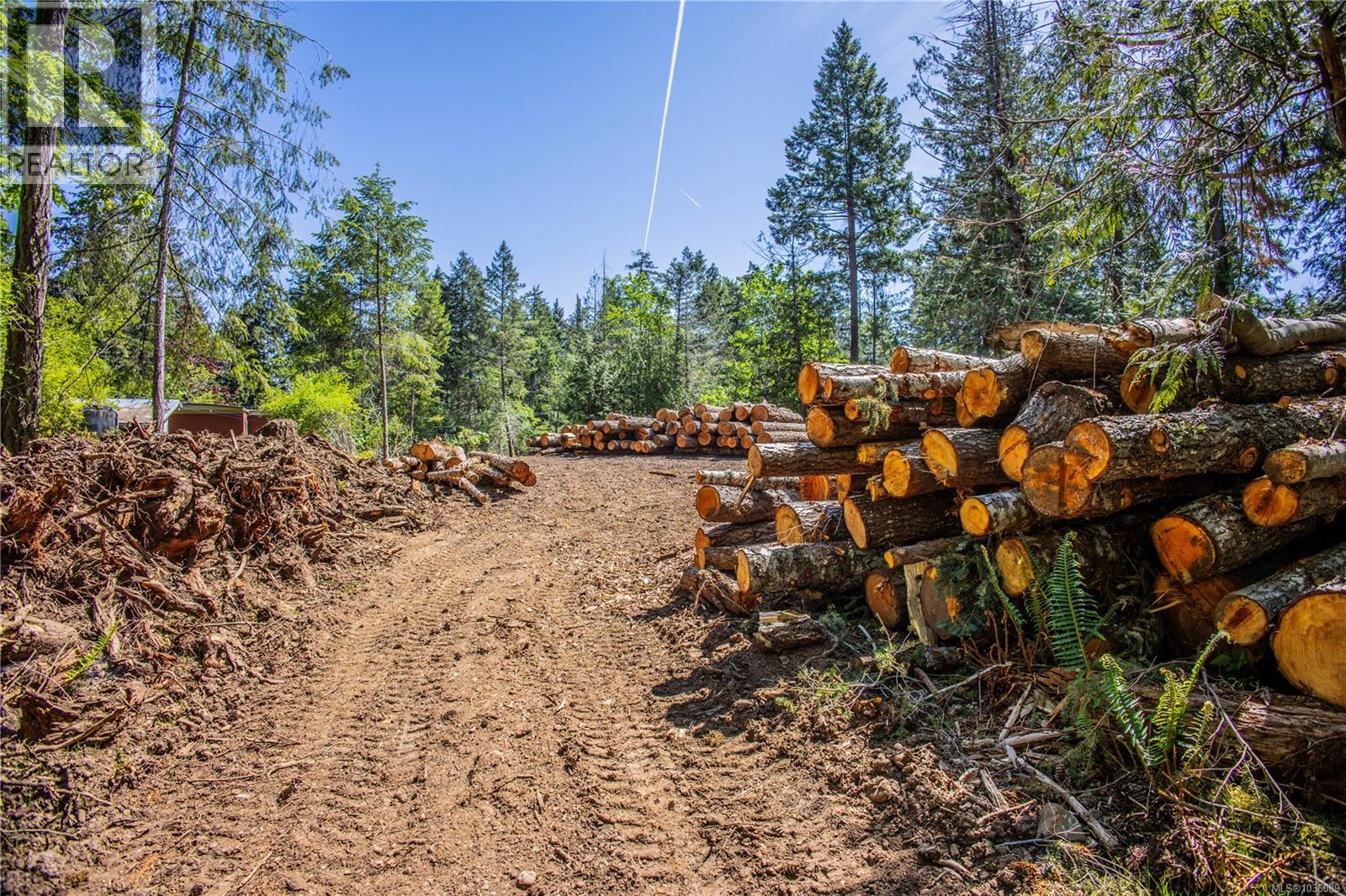 3250 Gunpowder Trail, Hornby Island, British Columbia  V0R 1Z0 - Photo 6 - 1036089