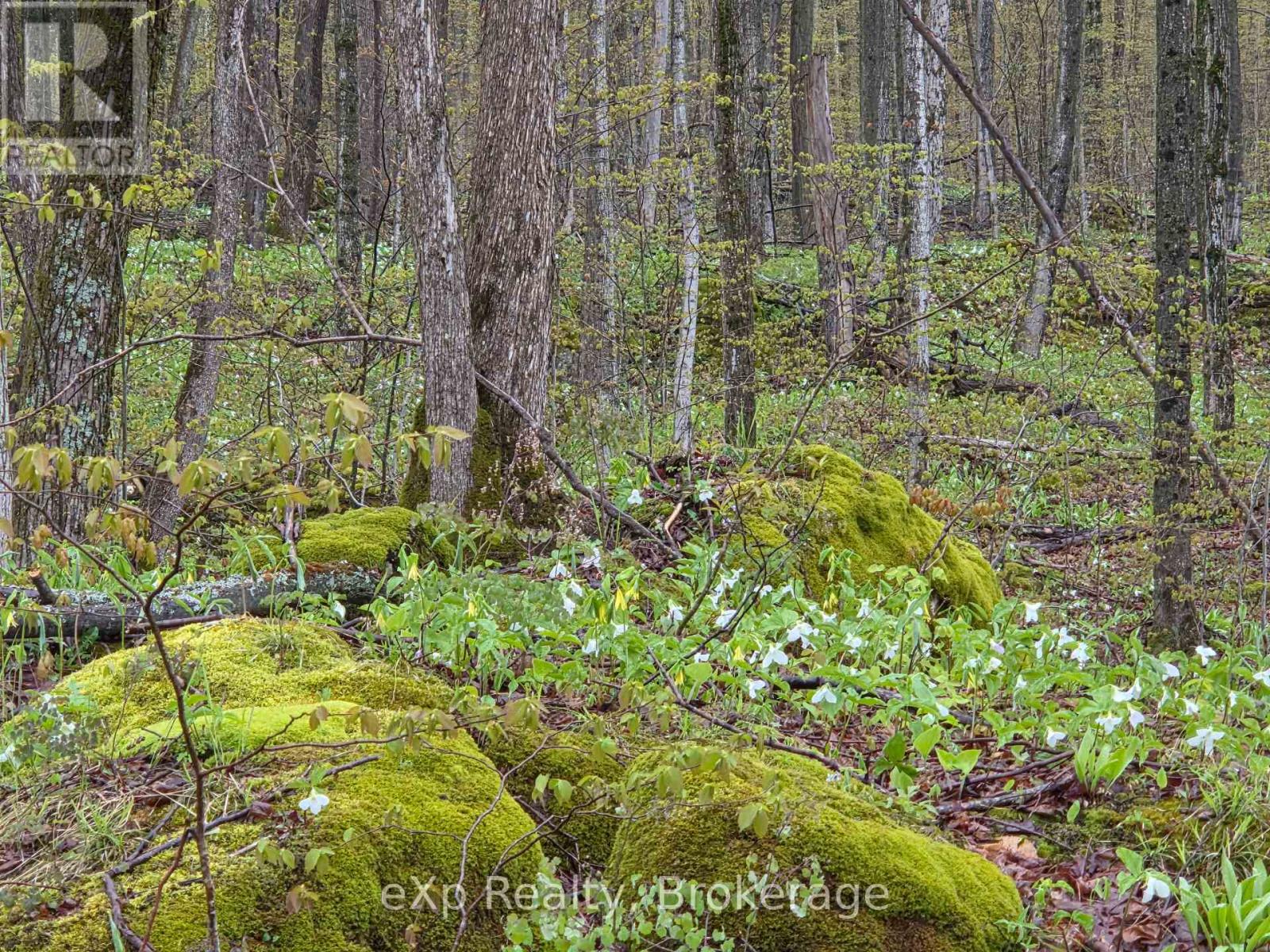 Pt Lt 14 2nd Concession Road N, Meaford, Ontario  N4K 5W4 - Photo 10 - X13124582