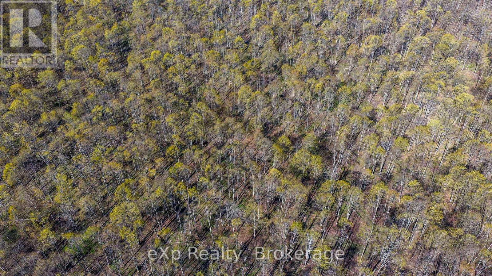 Pt Lt 14 2nd Concession Road N, Meaford, Ontario  N4K 5W4 - Photo 15 - X13124582