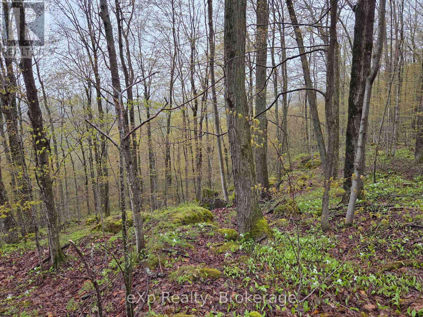 Pt Lt 14 2nd Concession Road N, Meaford, Ontario  N4K 5W4 - Photo 12 - X13124582
