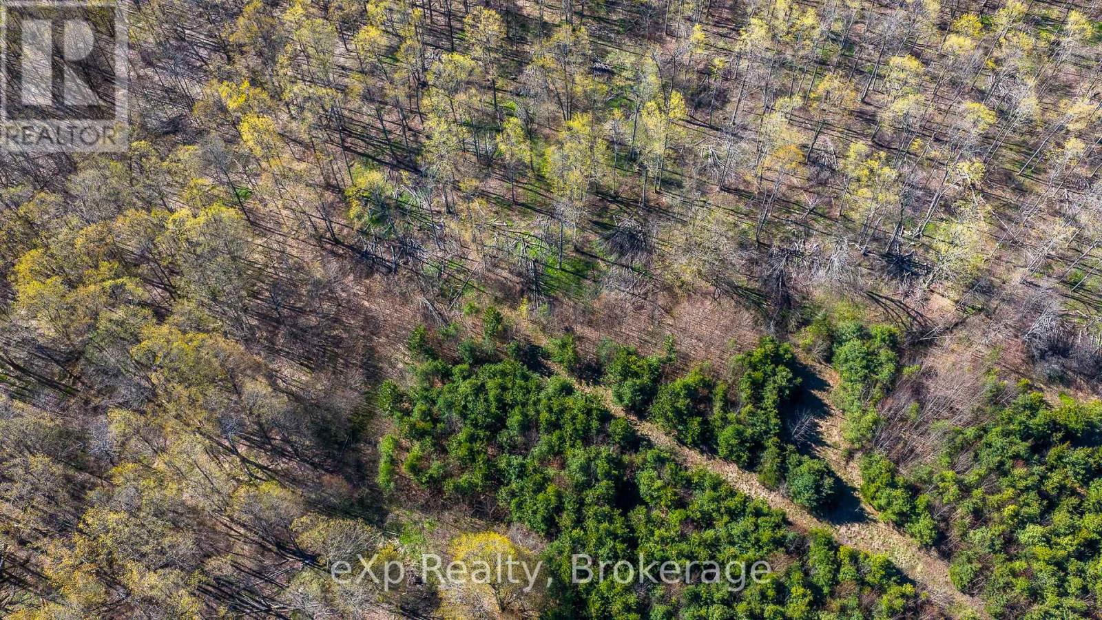 Pt Lt 14 2nd Concession Road N, Meaford, Ontario  N4K 5W4 - Photo 19 - X13124582
