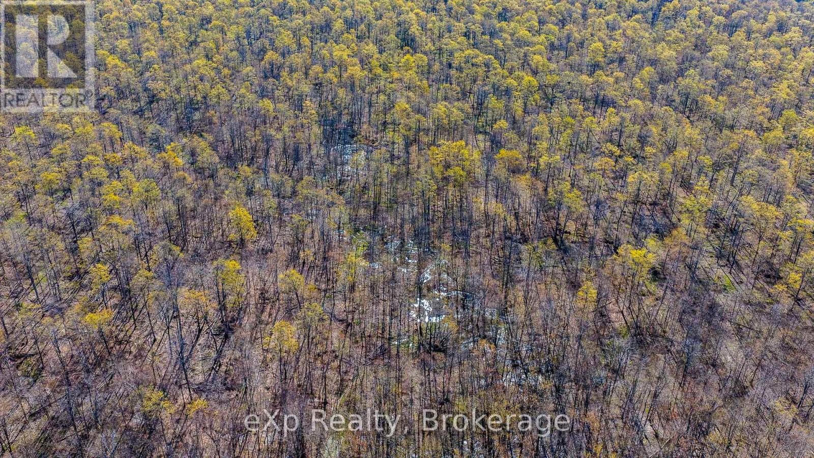Pt Lt 14 2nd Concession Road N, Meaford, Ontario  N4K 5W4 - Photo 22 - X13124582