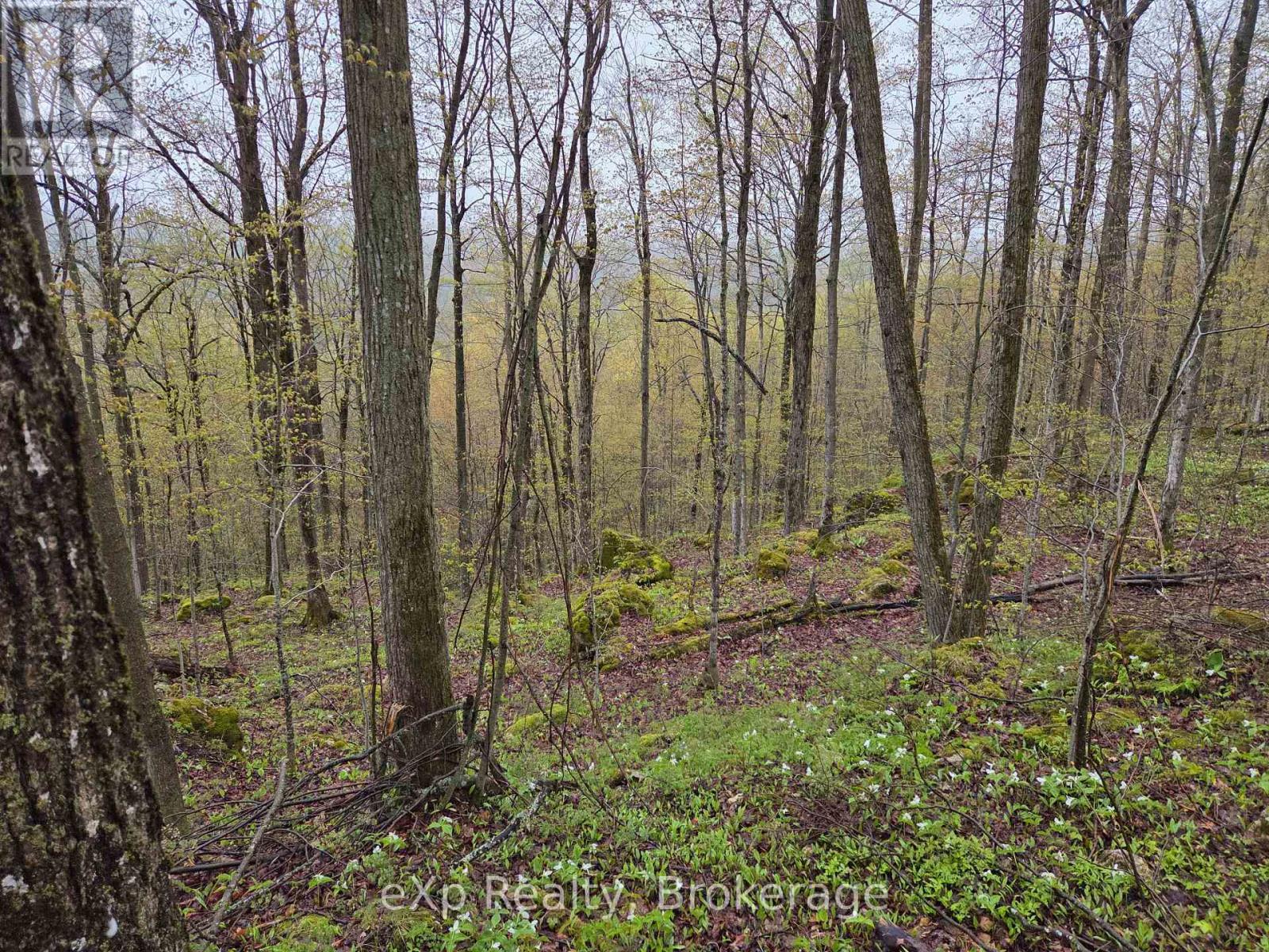 Pt Lt 14 2nd Concession Road N, Meaford, Ontario  N4K 5W4 - Photo 11 - X13124582