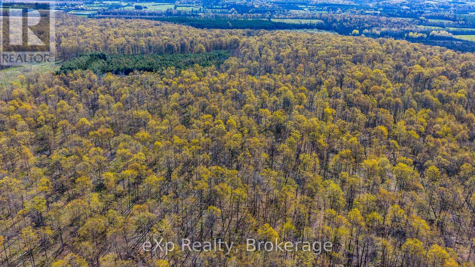 Pt Lt 14 2nd Concession Road N, Meaford, Ontario  N4K 5W4 - Photo 17 - X13124582
