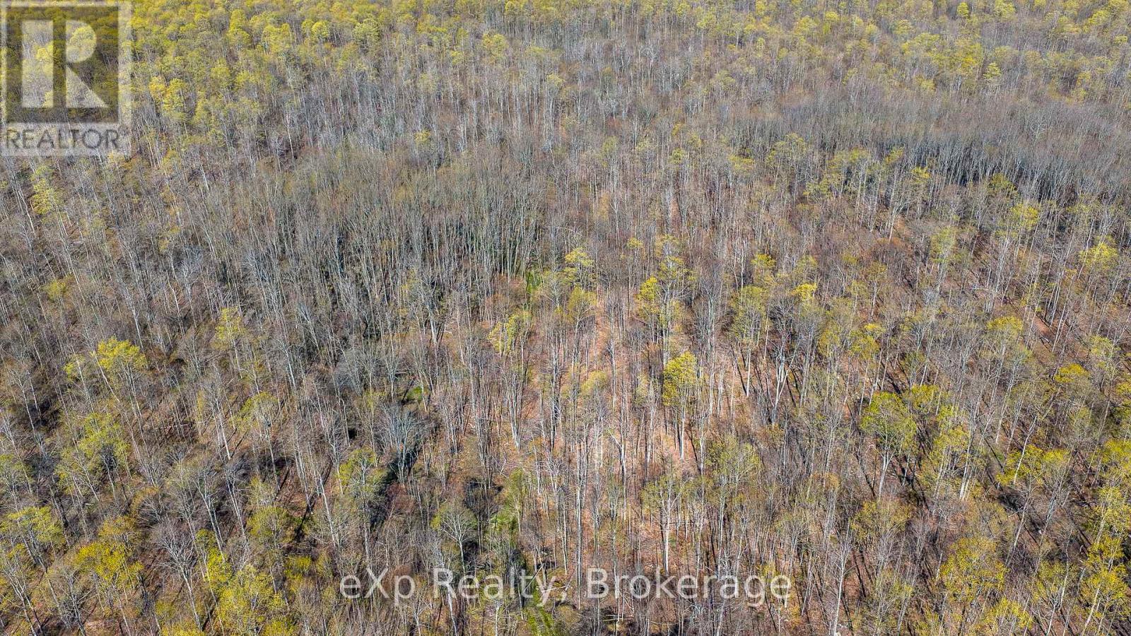 Pt Lt 14 2nd Concession Road N, Meaford, Ontario  N4K 5W4 - Photo 21 - X13124582