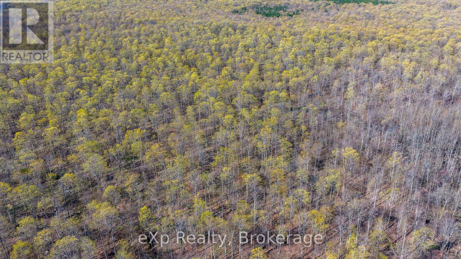 Pt Lt 14 2nd Concession Road N, Meaford, Ontario  N4K 5W4 - Photo 20 - X13124582
