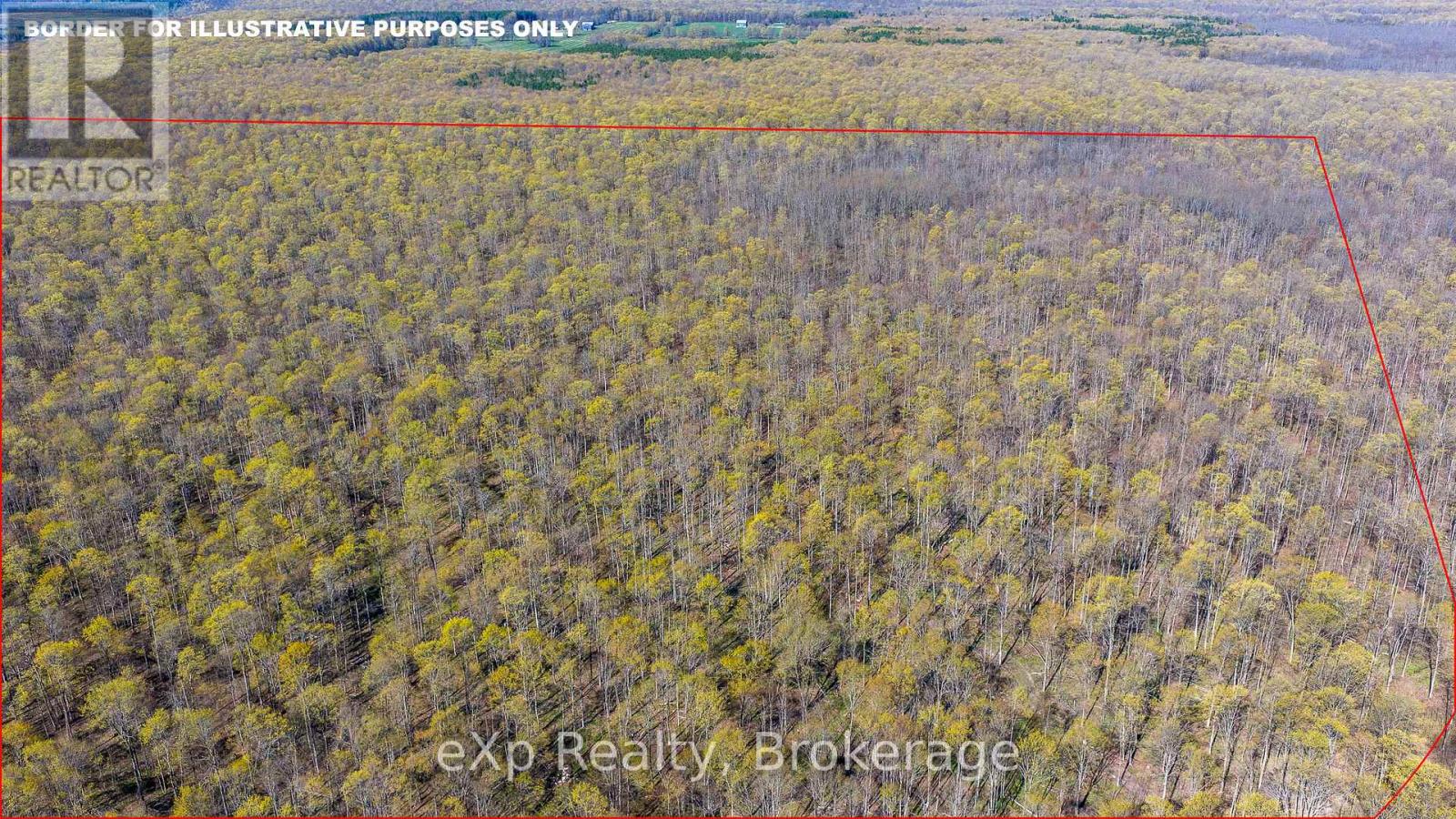 Pt Lt 14 2nd Concession Road N, Meaford, Ontario  N4K 5W4 - Photo 16 - X13124582