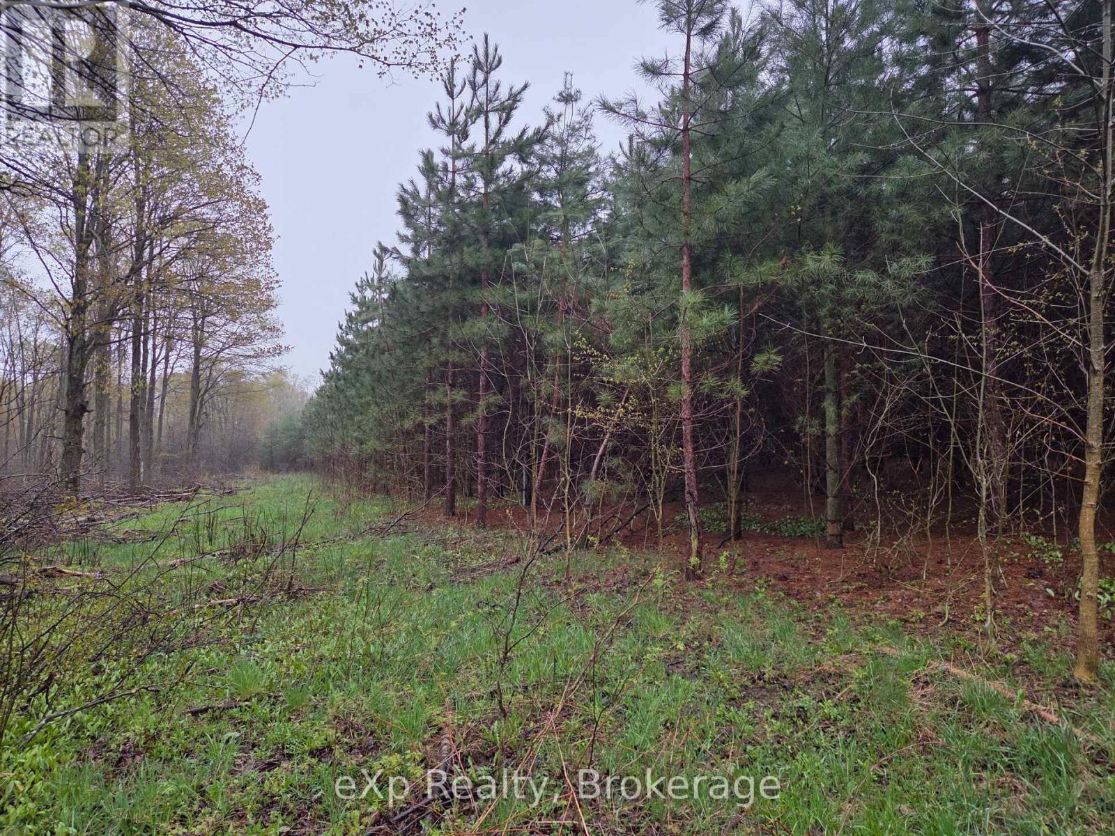 Pt Lt 14 2nd Concession Road N, Meaford, Ontario  N4K 5W4 - Photo 8 - X13124582