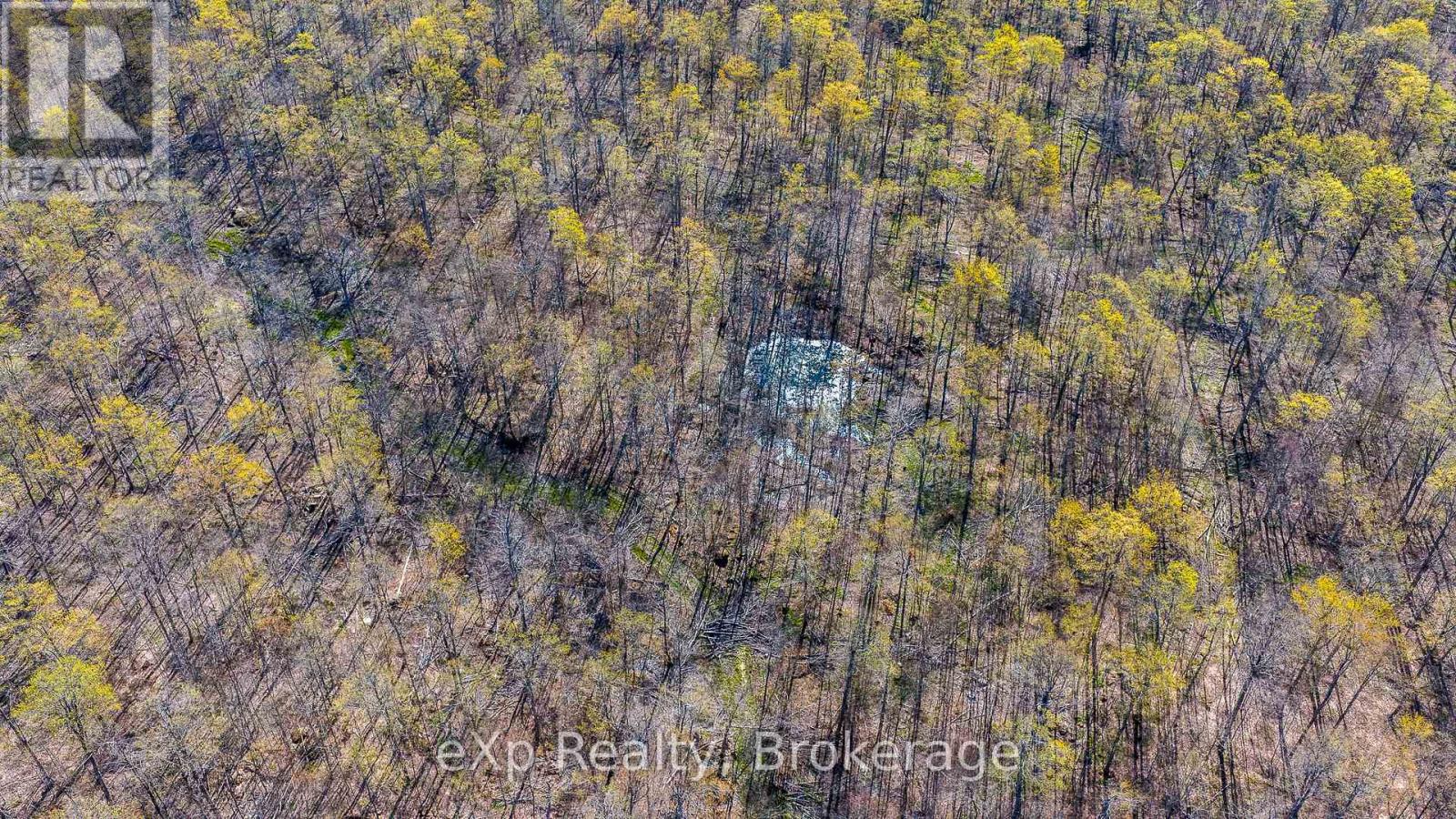 Pt Lt 14 2nd Concession Road N, Meaford, Ontario  N4K 5W4 - Photo 18 - X13124582