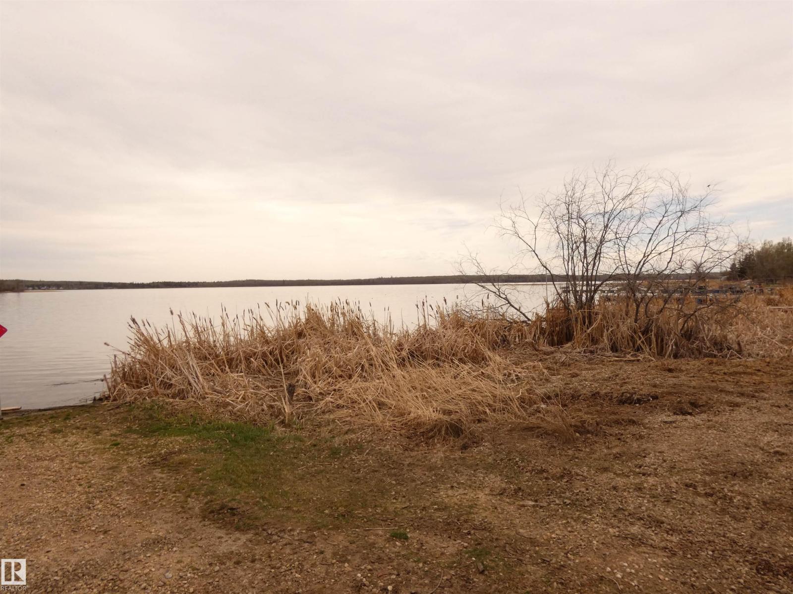 706 Meadow Av, Rural Barrhead County, Alberta  T0E 1A0 - Photo 42 - E4487555
