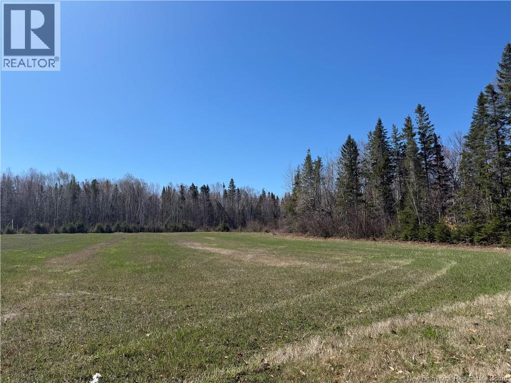 Route 340, New Bandon, New Brunswick  E2A 5E7 - Photo 10 - NB130343