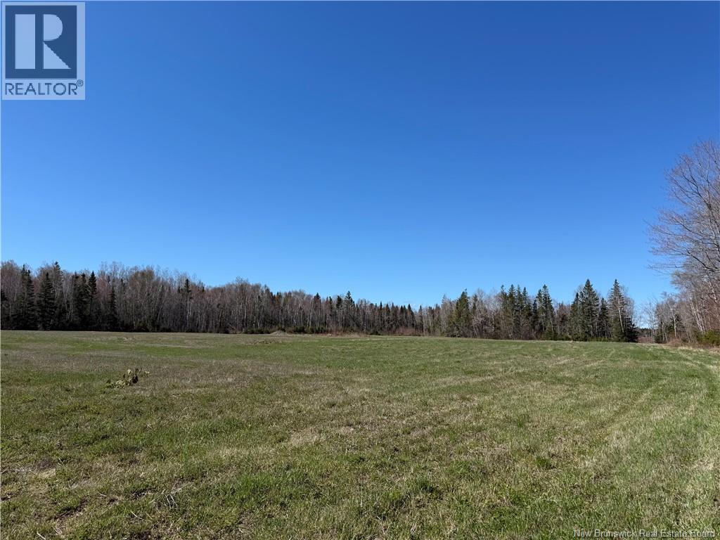 Route 340, New Bandon, New Brunswick  E2A 5E7 - Photo 12 - NB130343