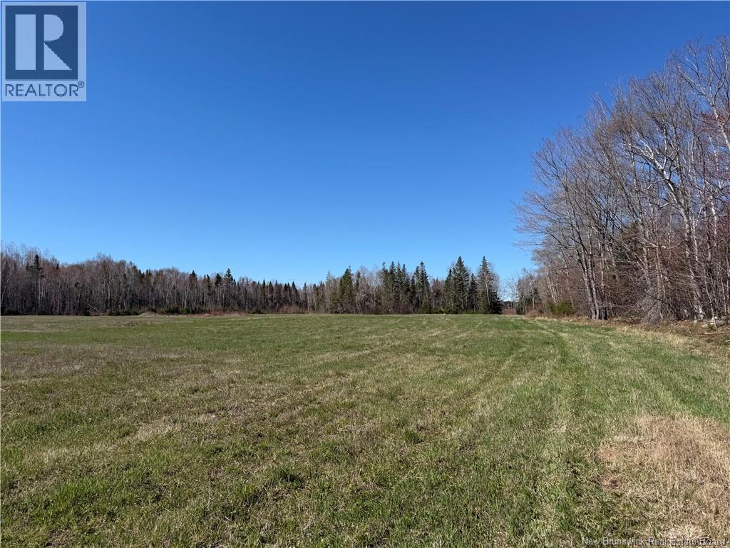 Route 340, New Bandon, New Brunswick  E2A 5E7 - Photo 11 - NB130343