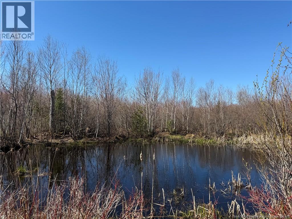 129 Acres 340 Route, Canobie, New Brunswick  E2A 5E7 - Photo 13 - NB131363
