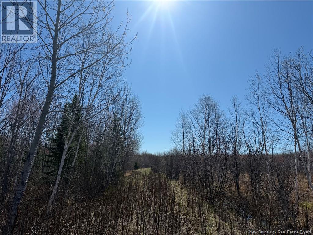 129 Acres 340 Route, Canobie, New Brunswick  E2A 5E7 - Photo 4 - NB131363