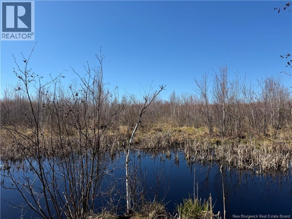 129 Acres 340 Route, Canobie, New Brunswick  E2A 5E7 - Photo 7 - NB131363