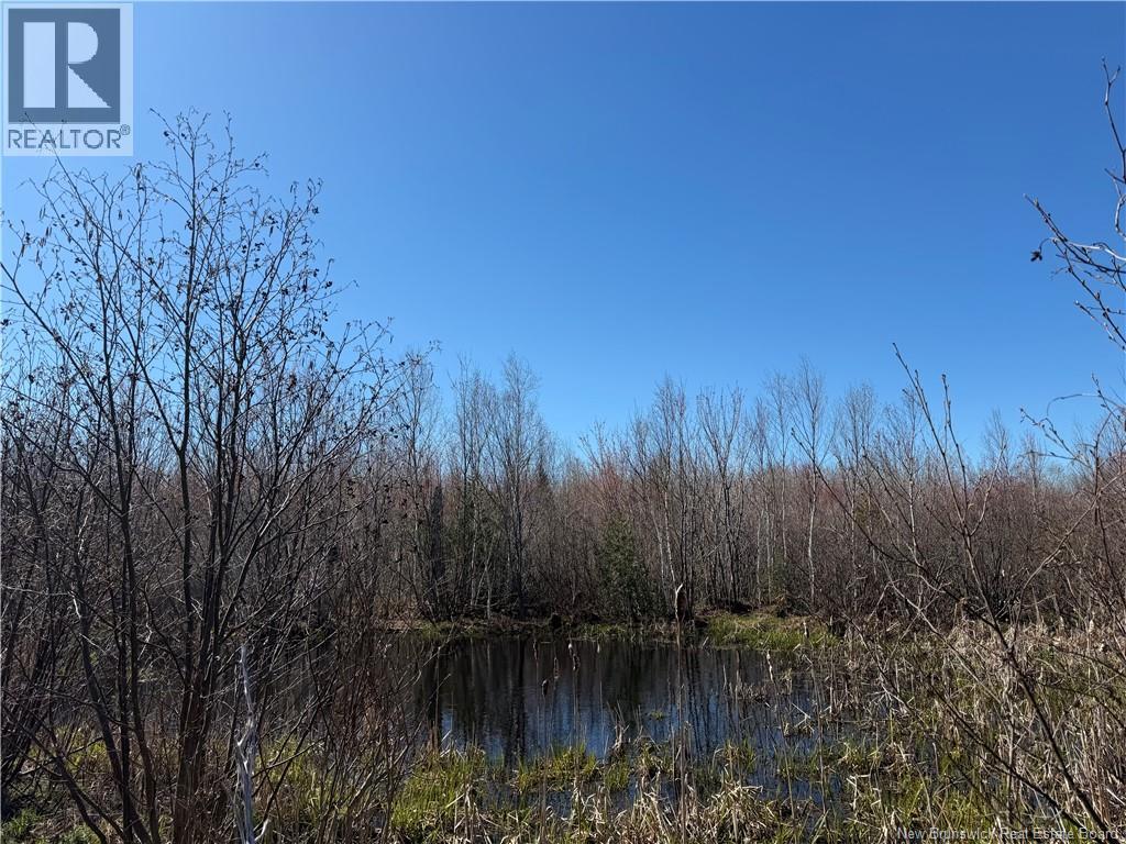 129 Acres 340 Route, Canobie, New Brunswick  E2A 5E7 - Photo 12 - NB131363