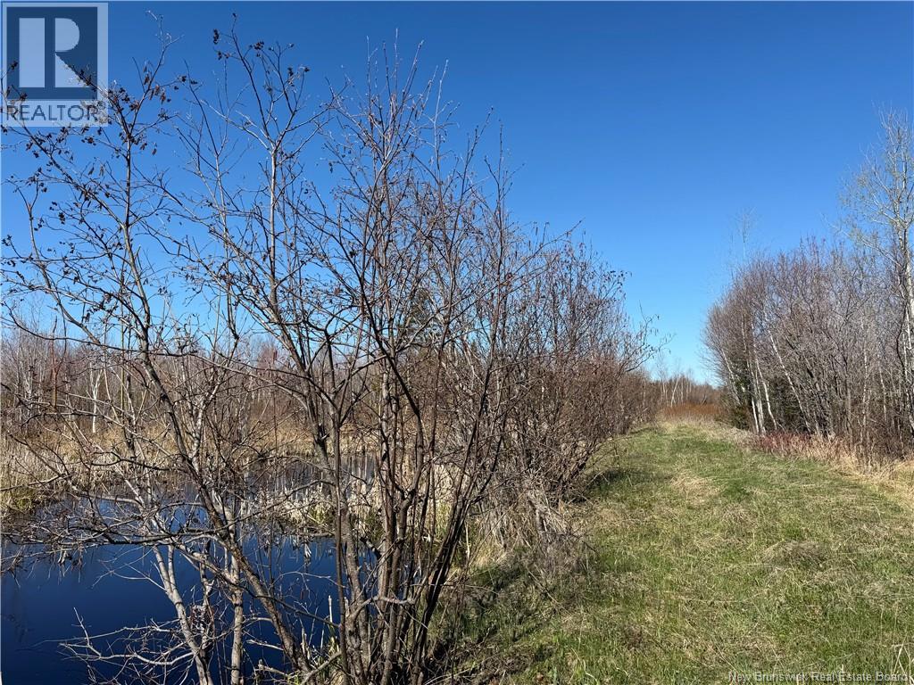 129 Acres 340 Route, Canobie, New Brunswick  E2A 5E7 - Photo 8 - NB131363