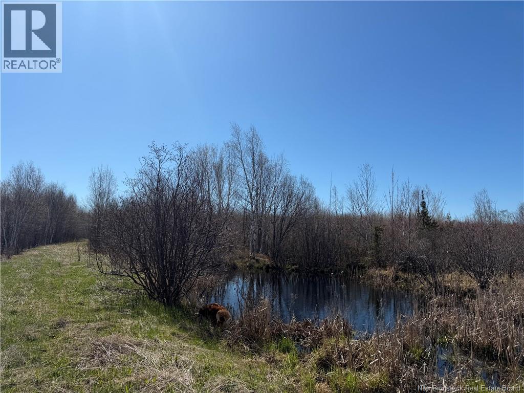 129 Acres 340 Route, Canobie, New Brunswick  E2A 5E7 - Photo 9 - NB131363