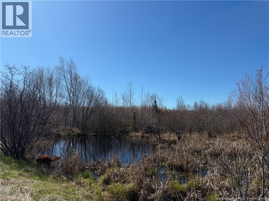 129 Acres 340 Route, Canobie, New Brunswick  E2A 5E7 - Photo 10 - NB131363