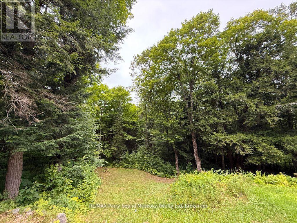 335 Centre Road, Mckellar, Ontario  P2A 0B4 - Photo 12 - X13126062