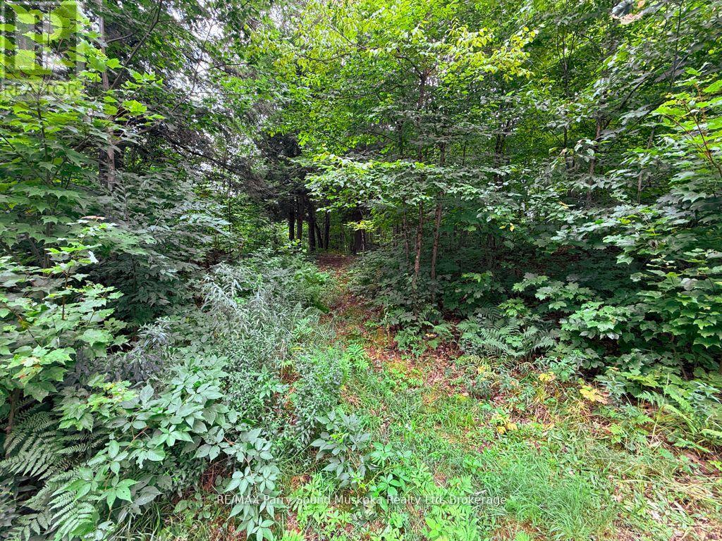 335 Centre Road, Mckellar, Ontario  P2A 0B4 - Photo 9 - X13126062
