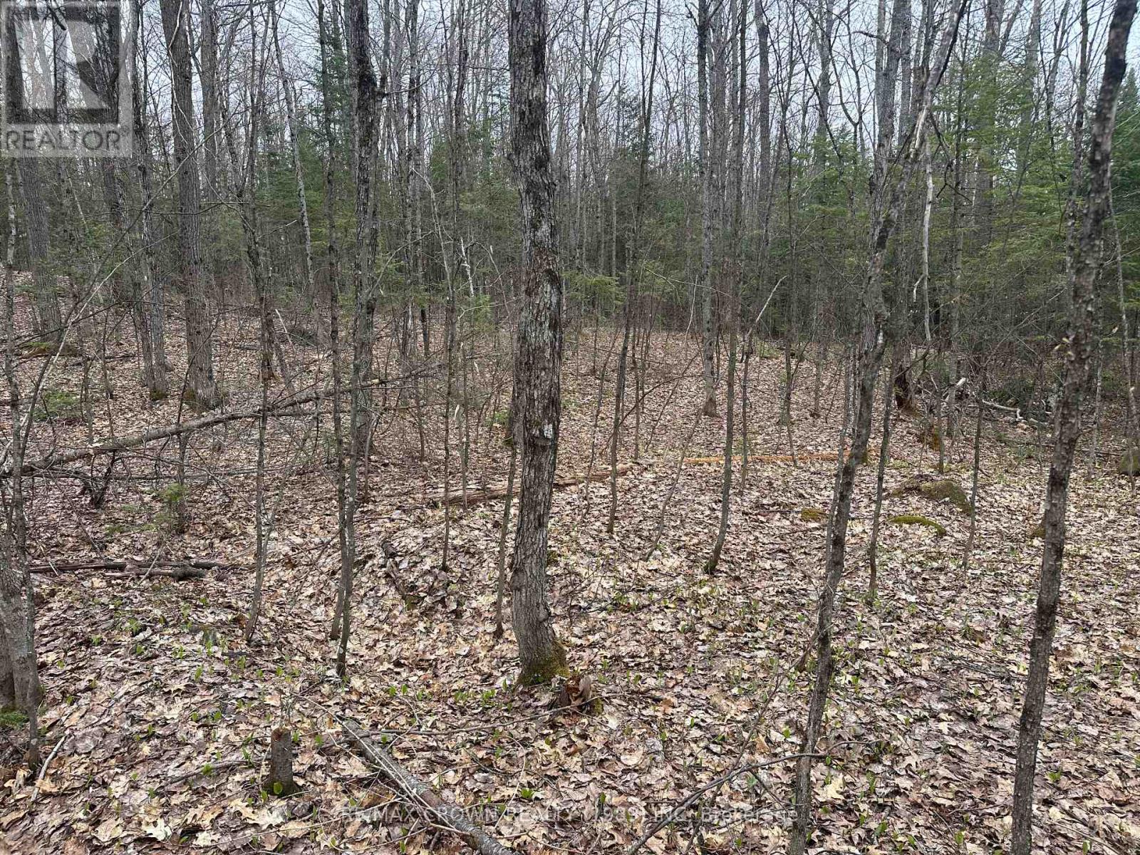 Pt Lt 14 Con 10 Machar Pt 3, Machar, Ontario  P0A 1X0 - Photo 10 - X12969838