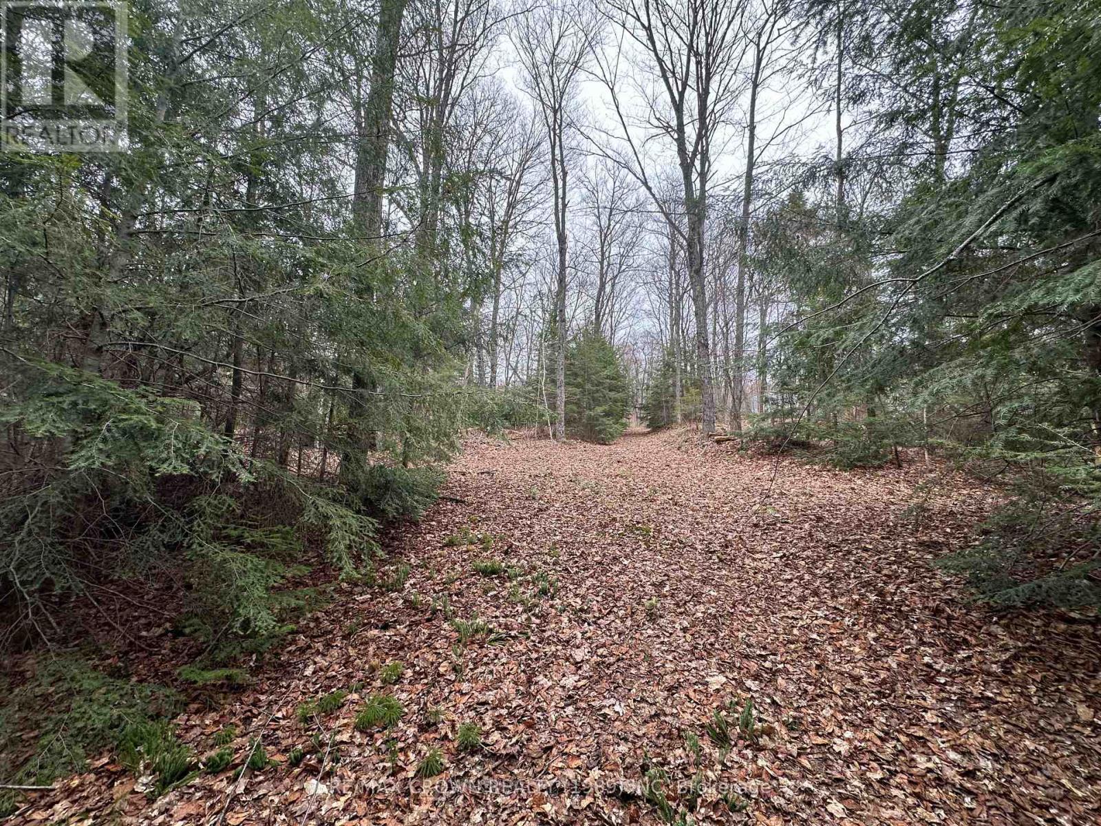 Pt Lt 14 Con 10 Machar Pt 3, Machar, Ontario  P0A 1X0 - Photo 24 - X12969838